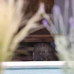 Life Apartahotel Tourlos